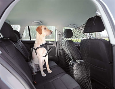 Trixie Direkt Vor Dem Auto Schwarz