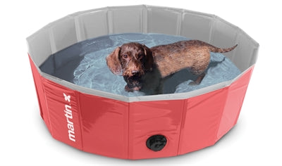 Martin Hund Pool Rot