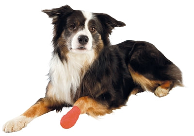Trixie-Klebebandage Sortiert