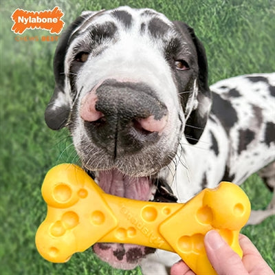 Nylabone Nylabondura Kauknochen