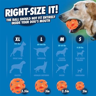 Chuckit Atmen Rechts Holen Ball Orange