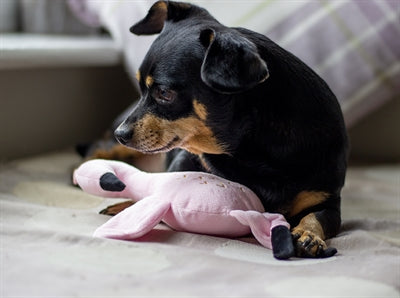 Rosewood Greifling Flamingo Umweltfreundlich Recycelt