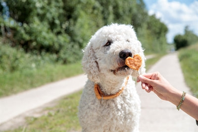 Trixie Premio Lollipop Mit Huhn Und Reis