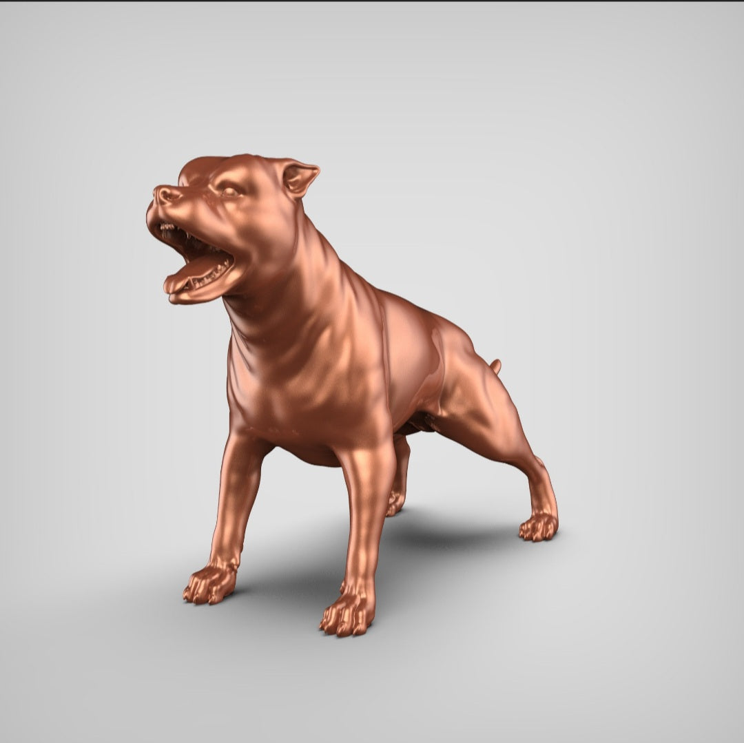 Amerikanischer Pitbull