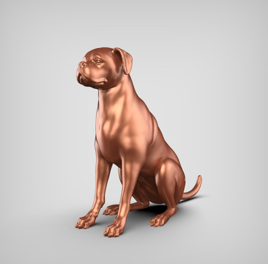Boxer
