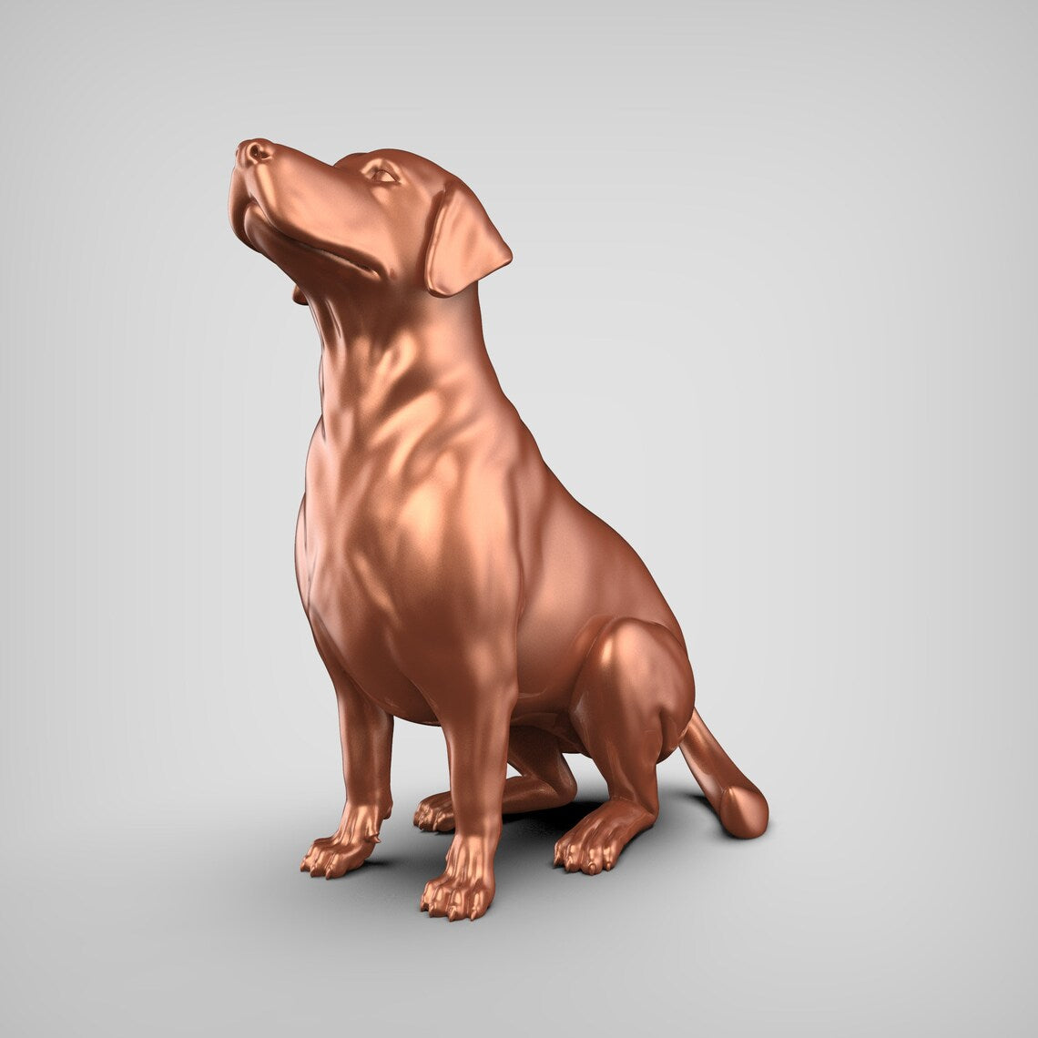 Labrador